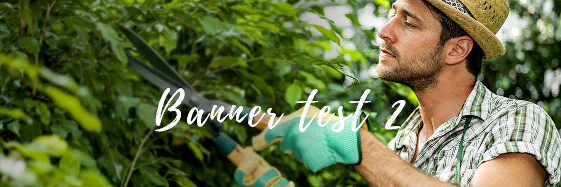 Banner test 2